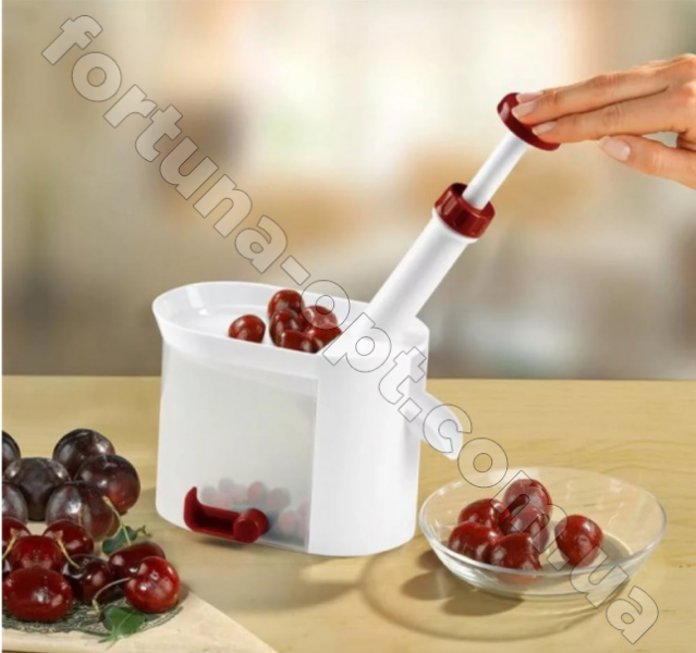 Машинка для удаления косточек WB-1260 ✅ базовая цена $4.81 ✔ Опт ✔ Скидки ✔ Заходите! - Интернет-магазин ✅ Фортуна-опт ✅