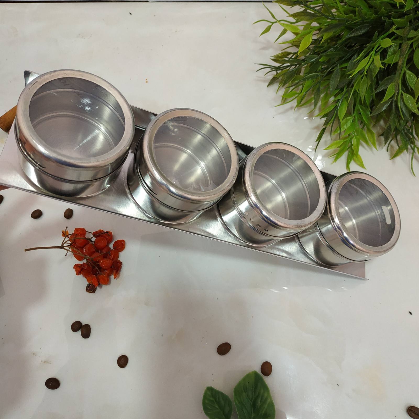 Набор для специй на магните 4 пр. Benson -189 ✅ базовая цена $5.26 ✔ Опт ✔ Скидки ✔ Заходите! - Интернет-магазин ✅ Фортуна-опт ✅