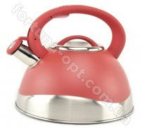 Чайник нержавейка для плиты 3 л A-Plus - 1379  ✅ базовая цена $12.08 ✔ Опт ✔ Акции ✔ Заходите! - Интернет-магазин Fortuna-opt.com.ua.