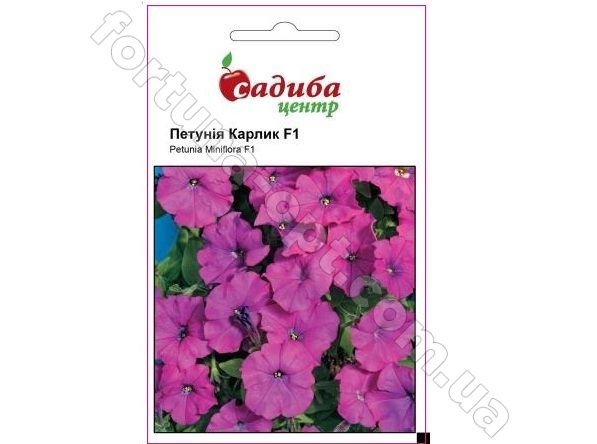 Петуния Карлик F1 фиолетовая (10 гран.) СЦ Cerny ✅ базовая цена 7.34 грн. ✔ Опт ✔ Акции ✔ Заходите! - Интернет-магазин Fortuna-opt.com.ua.