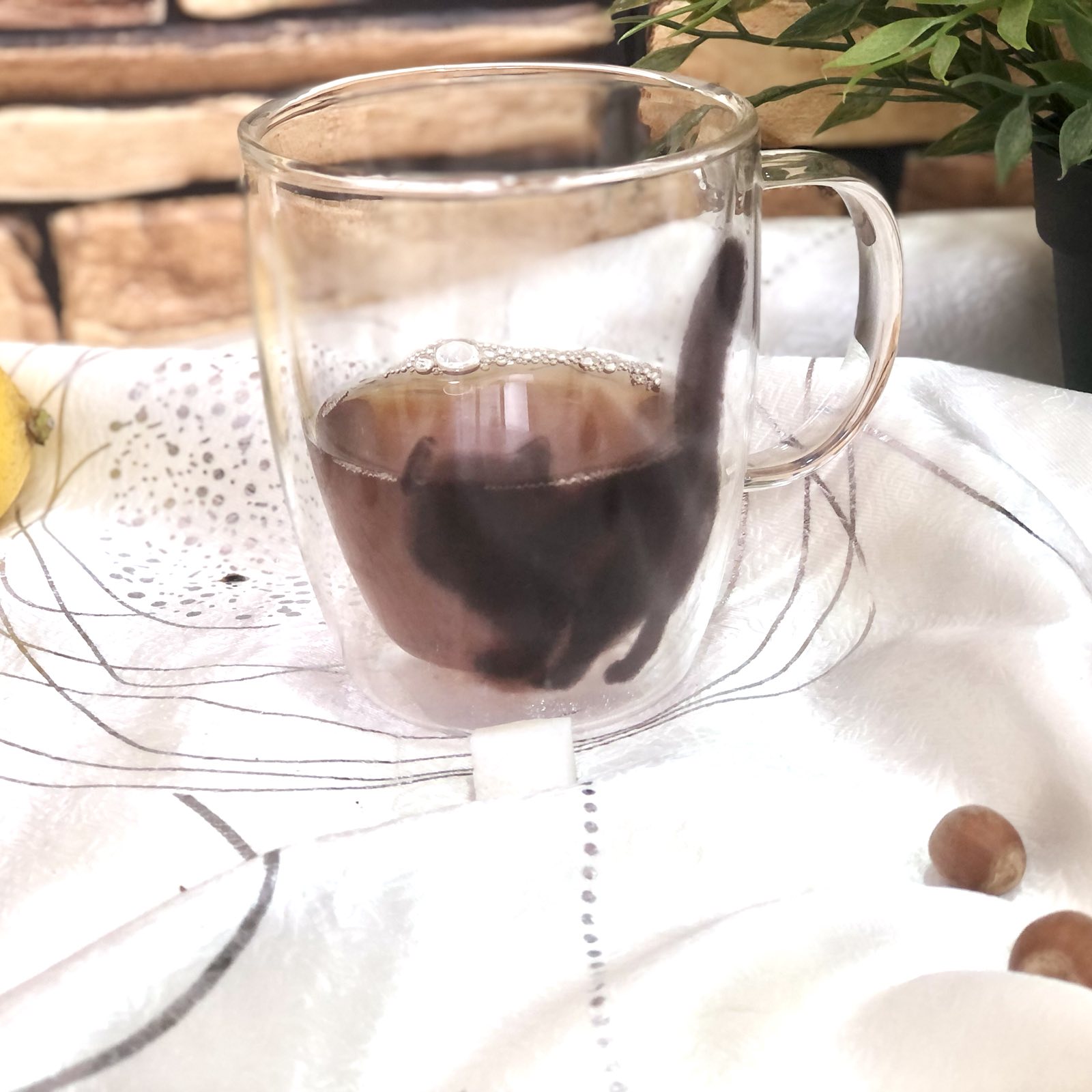 Чашка стекло 400 мл двойн.стенка Черный кот 201-21 ✅ базовая цена 196.25 грн. ✔ Опт ✔ Скидки ✔ Заходите! - Интернет-магазин ✅ Фортуна-опт ✅