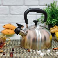 Чайник со свистком ECONOM 2.0 л A-Plus - 1373 ✅ базовая цена $6.33 ✔ Опт ✔ Акции ✔ Заходите! - Интернет-магазин Fortuna-opt.com.ua.