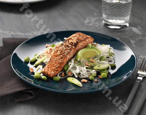 Тарелка IPEC т.бирюза 3536 (21 см) ➜ Оптом и в розницу ✅ актуальная цена - Интернет магазин ✅ Фортуна ✅