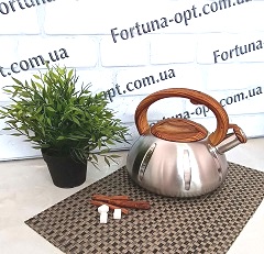 Чайник из нержавеющей стали Econom 3 л A-Plus - 1337