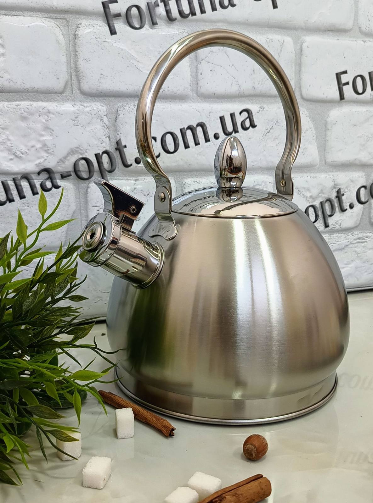 Чайник нержавеющий 3 л A-Plus - 1381 ✅ базовая цена $11.07 ✔ Опт ✔ Скидки ✔ Заходите! - Интернет-магазин ✅ Фортуна-опт ✅