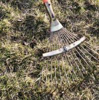 Грабли веерные регулируемые 15 зубьев - 7847 ✅ базовая цена 74 грн. ✔ Опт ✔ Акции ✔ Заходите! - Интернет-магазин Fortuna-opt.com.ua.