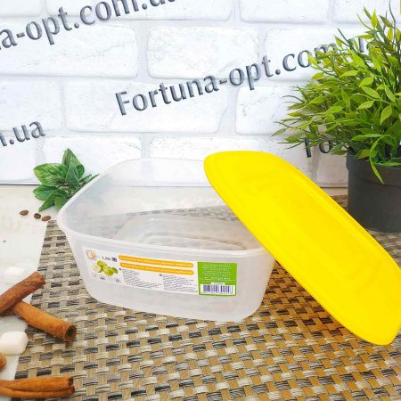 Контейнер квадратный Алеана 1,88 л 19 х 19 х 8,5 см 0493 ✅ базовая цена 143.51 грн. ✔ Опт ✔ Скидки ✔ Заходите! - Интернет-магазин ✅Фортуна-опт ✅