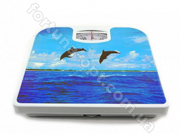 Весы механические напольные A-Plus - 1651 ➜ Оптом и в розницу ✅ актуальная цена -Интернет магазин ✅ Фортуна ✅