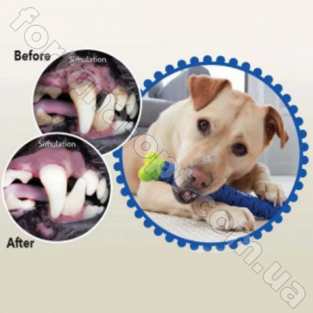 Зубная щетка для собак Сhewbrush (DOG DUMMY BONE) - 7197 ✅ базовая цена $2.52 ✔ Опт ✔ Скидки ✔ Заходите! - Интернет-магазин ✅ Фортуна-опт ✅