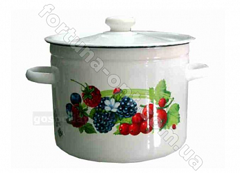 Кастрюля эмалированная 9,0 л 1621/2 Смузи ➜ Оптом и в розницу ✅ актуальная цена -Интернет магазин ✅ Фортуна ✅