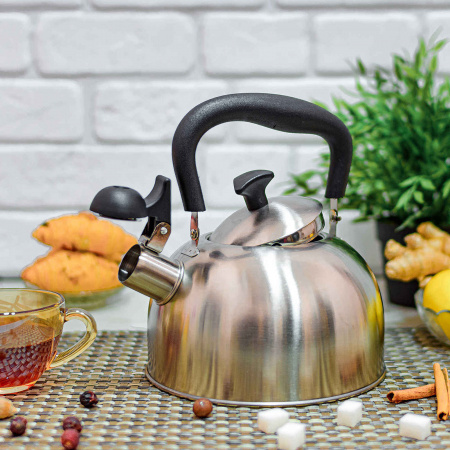 Чайник со свистком ECONOM 2.0 л A-Plus - 1373 ✅ базовая цена $6.33 ✔ Опт ✔ Скидки ✔ Заходите! - Интернет-магазин ✅ Фортуна-опт ✅