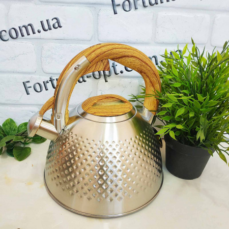 Чайник из нержавеющей стали 3 л Edenberg EB - 8831 ✅ базовая цена $16.41 ✔ Опт ✔ Скидки ✔ Заходите! - Интернет-магазин ✅ Фортуна-опт ✅