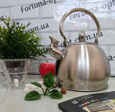 Чайник нержавеющий 3 л A-Plus - 1381 ✅ базовая цена $11.07 ✔ Опт ✔ Скидки ✔ Заходите! - Интернет-магазин ✅ Фортуна-опт ✅