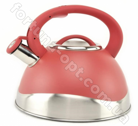 Чайник нержавейка для плиты 3 л A-Plus - 1379  ✅ базовая цена $12.08 ✔ Опт ✔ Скидки ✔ Заходите! - Интернет-магазин ✅ Фортуна-опт ✅