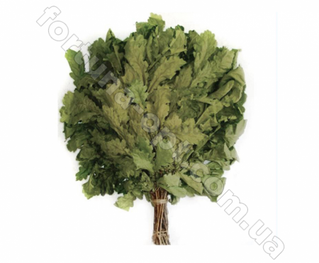 Веник для бани 1515 ✅ базовая цена 40.02 грн. ✔ Опт ✔ Скидки ✔ Заходите! - Интернет-магазин ✅ Фортуна-опт ✅