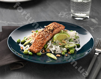 Тарелка IPEC т.бирюза 3536 (21 см) ➜ Оптом и в розницу ✅ актуальная цена - Интернет магазин ✅ Фортуна ✅