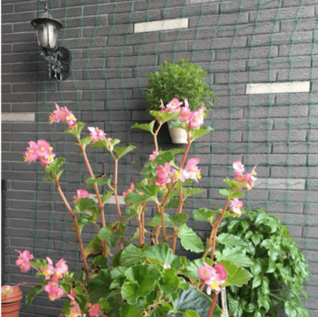 Сетка для огурцов - 0088 ✅ базовая цена 35.52 грн. ✔ Опт ✔ Скидки ✔ Заходите! - Интернет-магазин ✅ Фортуна-опт ✅