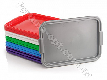 Поднос пластиковый прямоугольный (Х-1) 0047 ✅ базовая цена 30.65 грн. ✔ Опт ✔ Акции ✔ Заходите! - Интернет-магазин Fortuna-opt.com.ua.