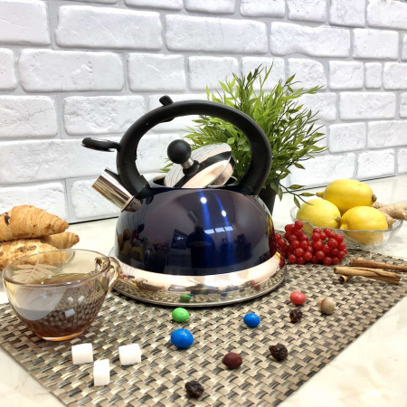 Чайник из нержавеющей стали 2,5 л A-Plus - 1237