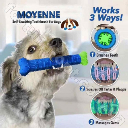Зубная щетка для собак Сhewbrush (DOG DUMMY BONE) - 7197 ✅ базовая цена $2.52 ✔ Опт ✔ Скидки ✔ Заходите! - Интернет-магазин ✅ Фортуна-опт ✅