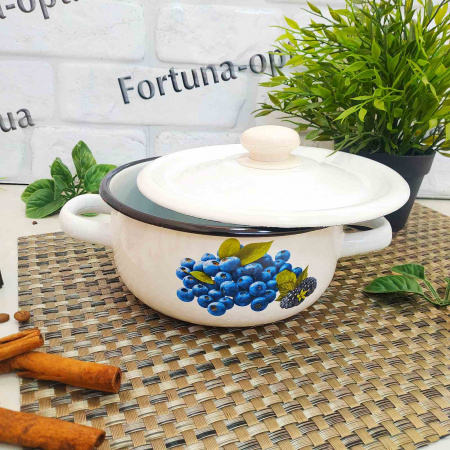 Кастрюля эмалированная 1,5л 1608/2  Разное  ✅ базовая цена 257.05 грн. ✔ Опт ✔ Скидки ✔ Заходите! - Интернет-магазин ✅ Фортуна-опт ✅