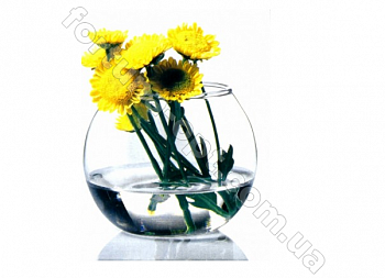 Ваза Pasabahce Flora Аквариум 99*79 мм - 43407 ✅ базовая цена 43.50 грн. ✔ Опт ✔ Акции ✔ Заходите! - Интернет-магазин Fortuna-opt.com.ua.