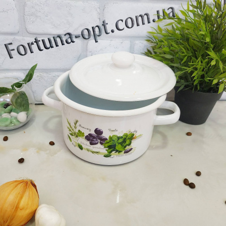 Кастрюля эмалированная 2,0 л "242 Зелень фреш" ✅ базовая цена 198.56 грн. ✔ Опт ✔ Скидки ✔ Заходите! - Интернет-магазин ✅ Фортуна-опт ✅