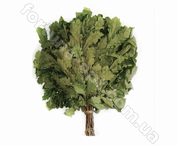 Веник для бани 1515 ✅ базовая цена 40.02 грн. ✔ Опт ✔ Акции ✔ Заходите! - Интернет-магазин Fortuna-opt.com.ua.