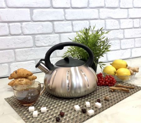 Чайник с двойным дном 3 л A-Plus - 1336 ✅ базовая цена $10.44 ✔ Опт ✔ Скидки ✔ Заходите! - Интернет-магазин ✅ Фортуна-опт ✅