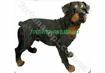 Ротвейлер стоящий 0175 (полимер) ➜ Оптом и в розницу ✅ актуальная цена -Интернет магазин ✅ Фортуна ✅