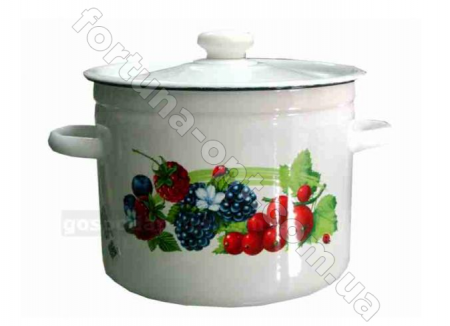 Кастрюля эмалированная 9,0 л 1621/2 Смузи ✅ базовая цена 295.10 грн. ✔ Опт ✔ Скидки ✔ Заходите! - Интернет-магазин ✅ Фортуна-опт ✅